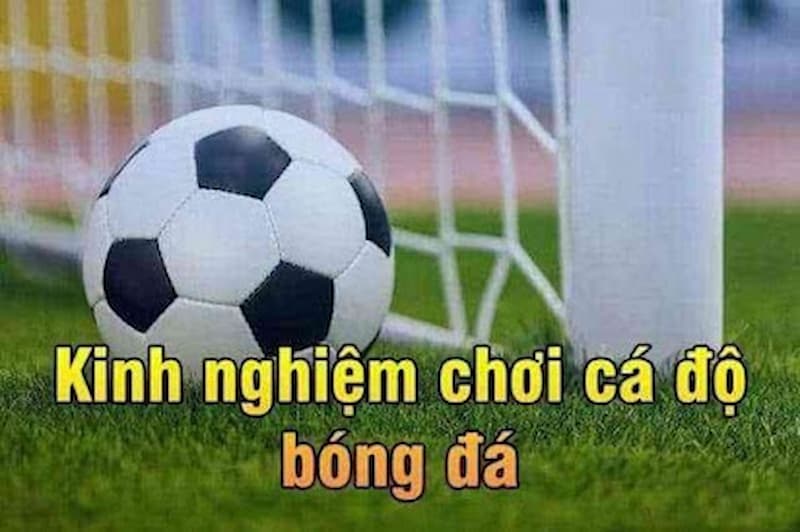 Tại sao 7m là công cụ không thể thiếu trong cá cược bóng đá?