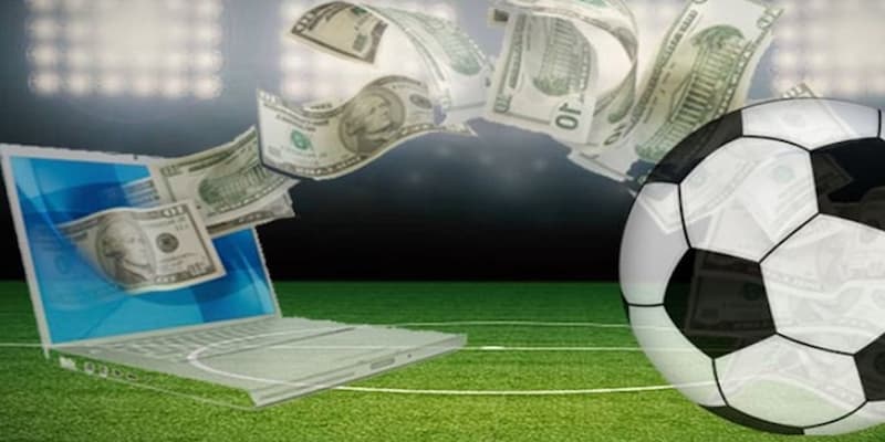 Cá độ trên mạng các lưu ý